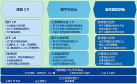數(shù)智賦能，轉(zhuǎn)型破局 金蝶商業(yè)服務(wù)沈敏談云管理咨詢助力企業(yè)轉(zhuǎn)型